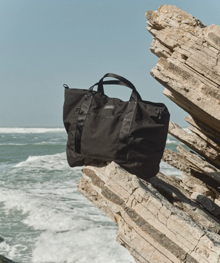 Sac Aigle posé sur un rocher en bord de mer